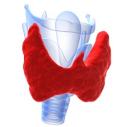 Hypothyroidism related image